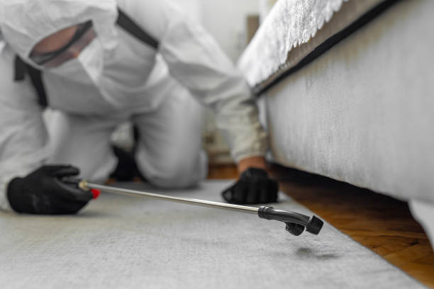 Professional Termite Control technician working in Bridgeport, AL