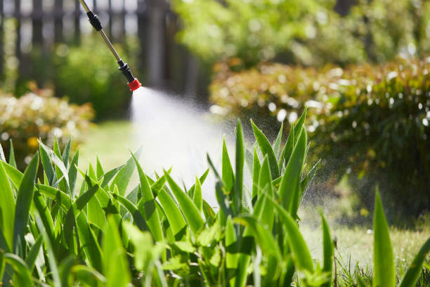 24/7 Emergency Termite Control experts in Bridgeport, AL