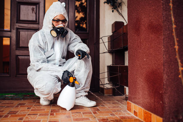 Reliable Termite Control contractor in Bridgeport, AL by Nex Pest Control